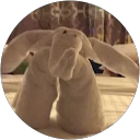 Calvanja Wallapop profile picture